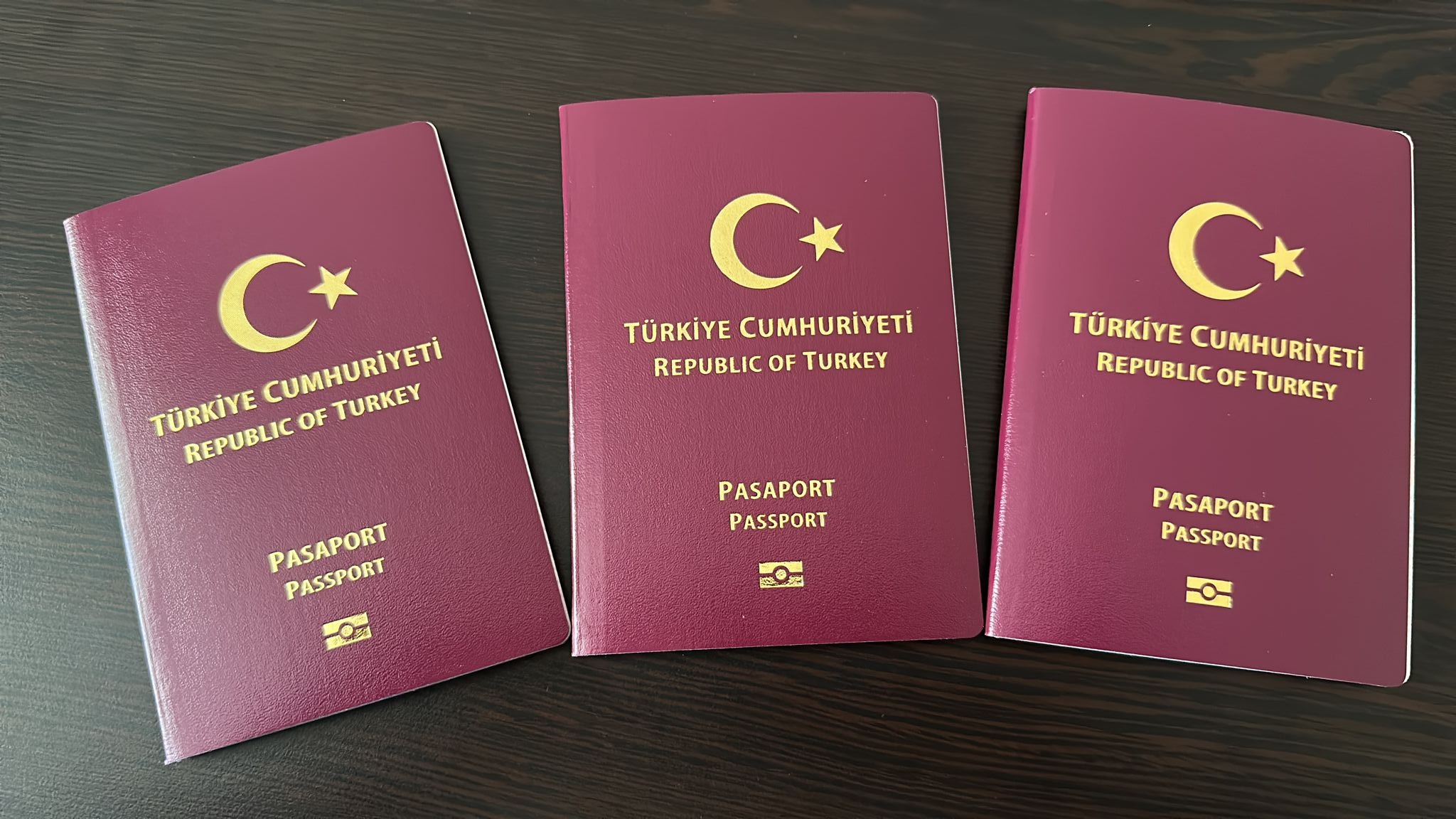 гражданство турции