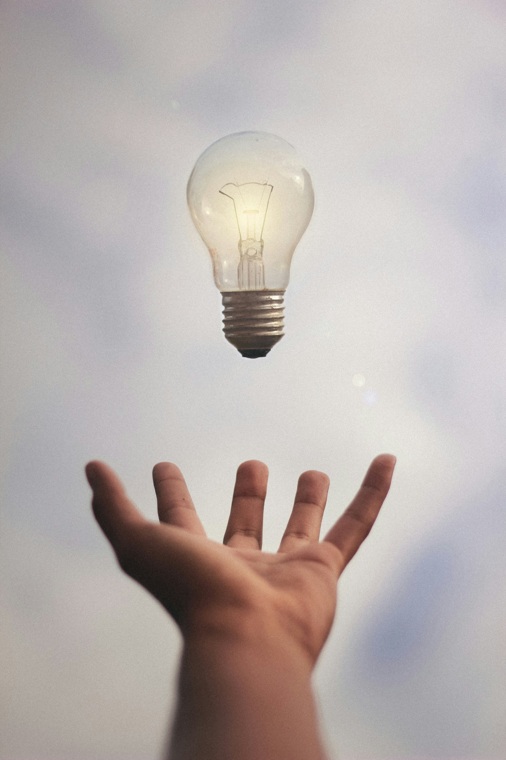 Investor Checklist: What to Review Before Investing in a Start-up